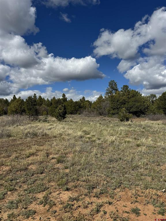 Tbd Road 39.2 Mancos CO 81328