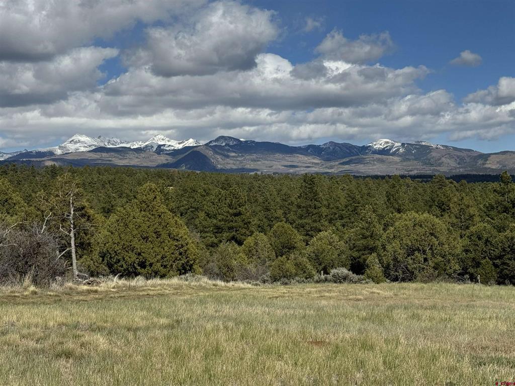 Tbd Road 39.2 Mancos CO 81328