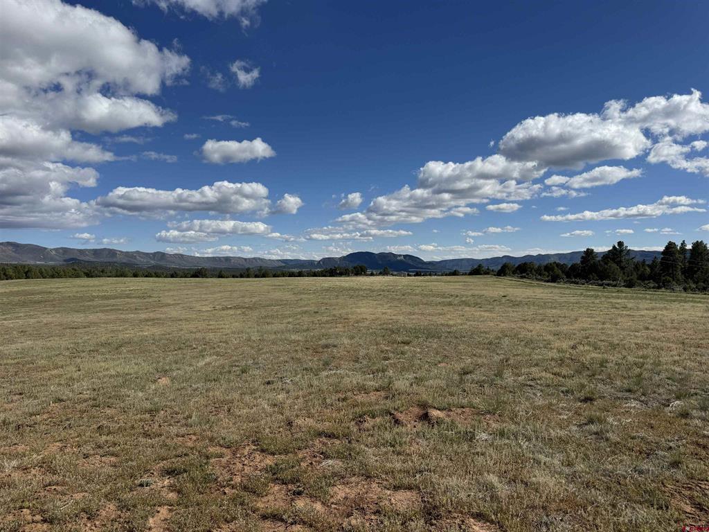 Tbd Road 39.2 Mancos CO 81328