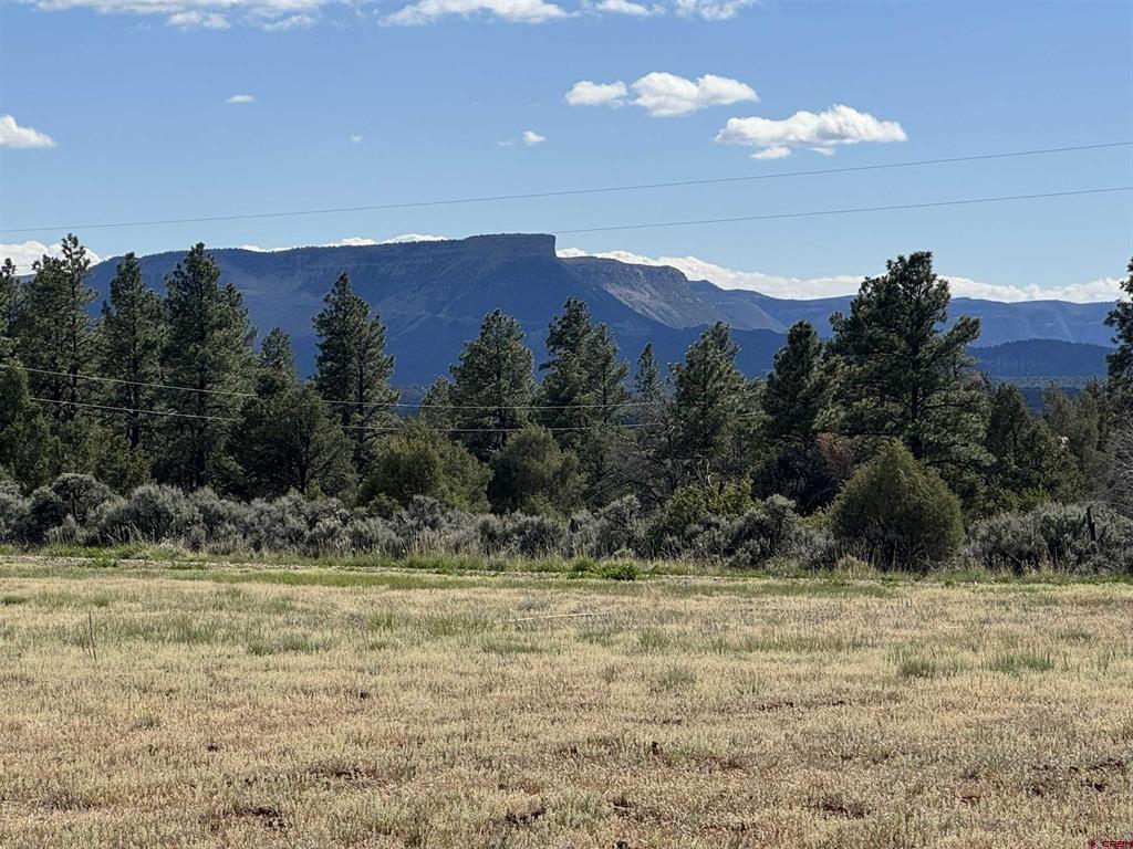 Tbd Road 39.2 Mancos CO 81328
