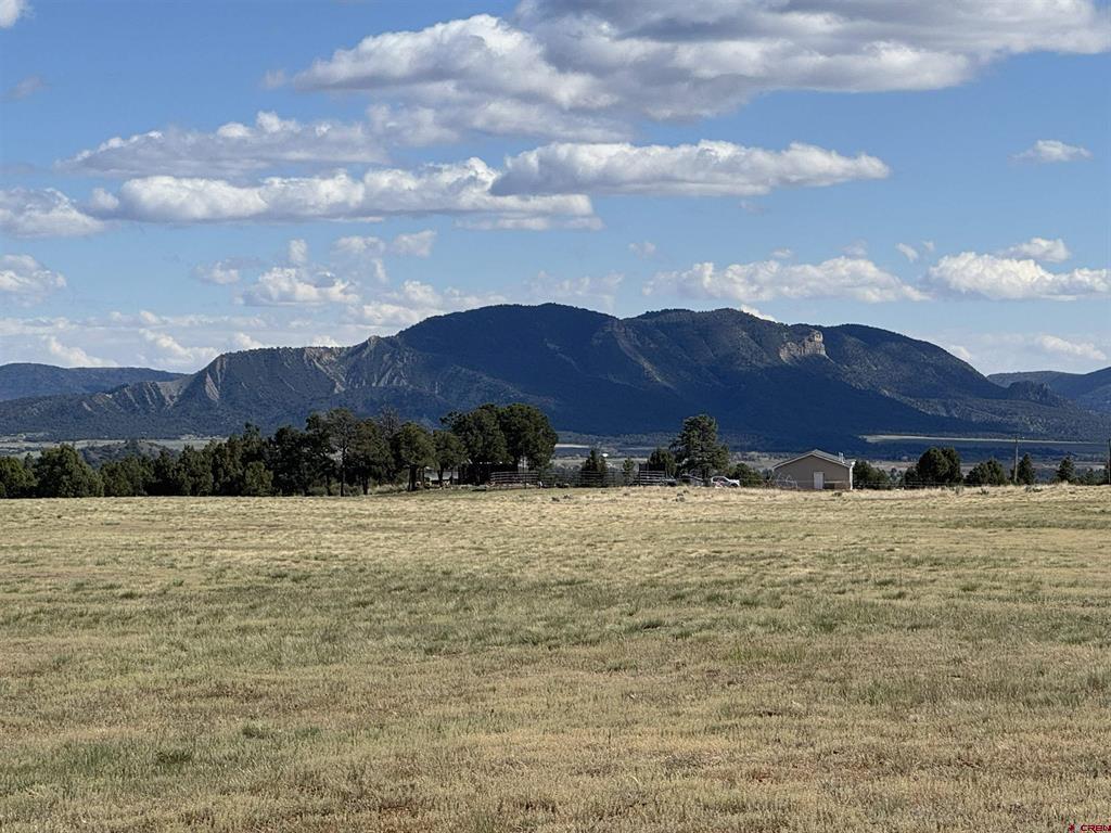 Tbd Road 39.2 Mancos CO 81328
