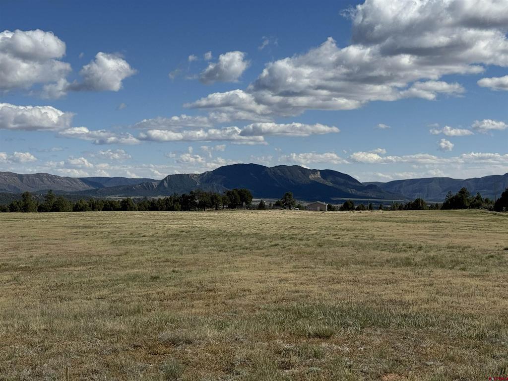 Tbd Road 39.2 Mancos CO 81328