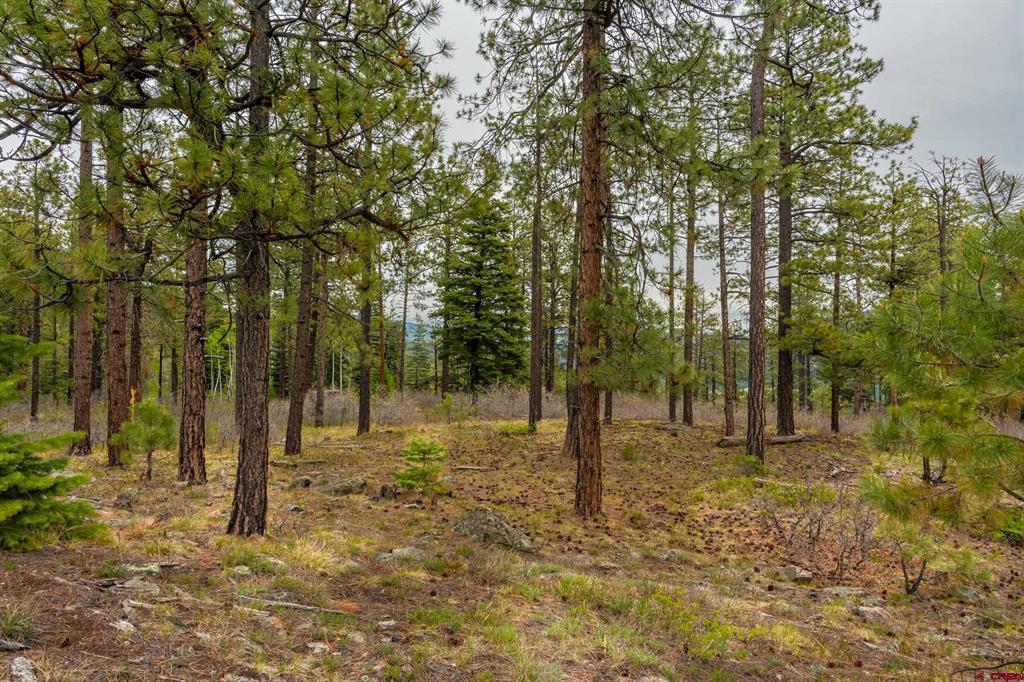 Tbd Cr 240 Durango CO 81301
