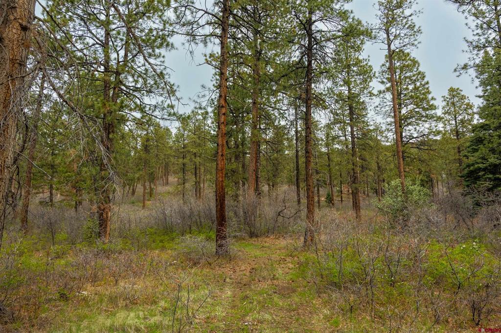 Tbd Cr 240 Durango CO 81301