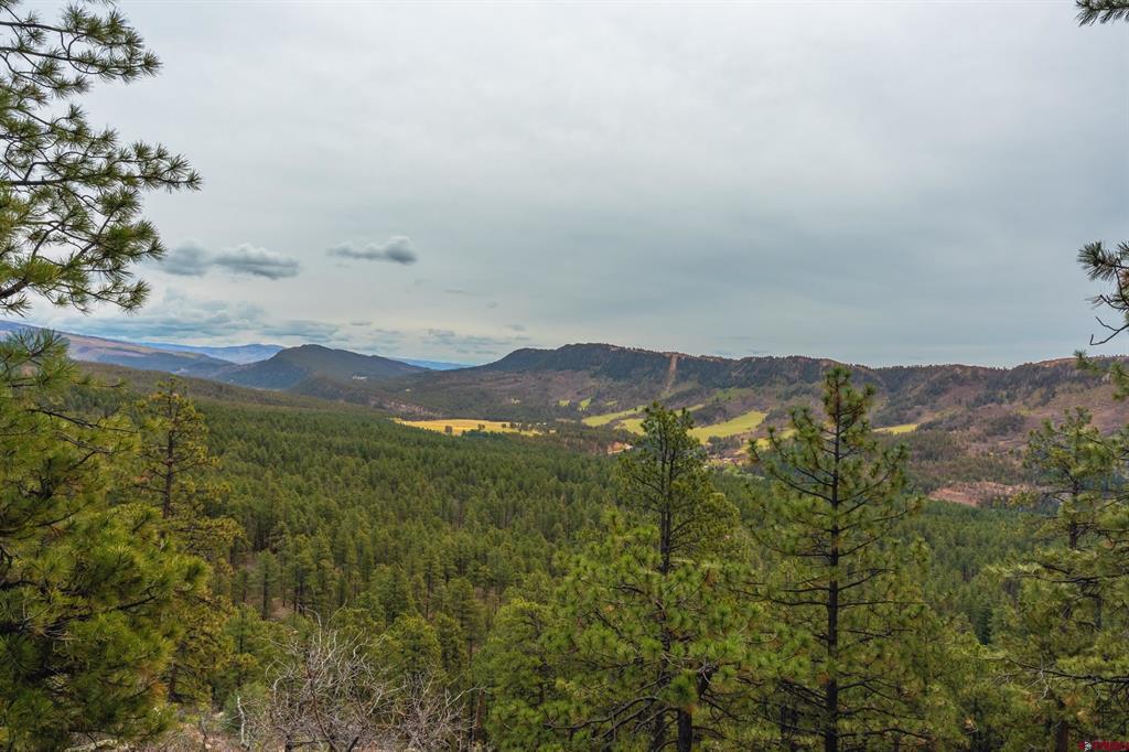 Tbd Cr 240 Durango CO 81301