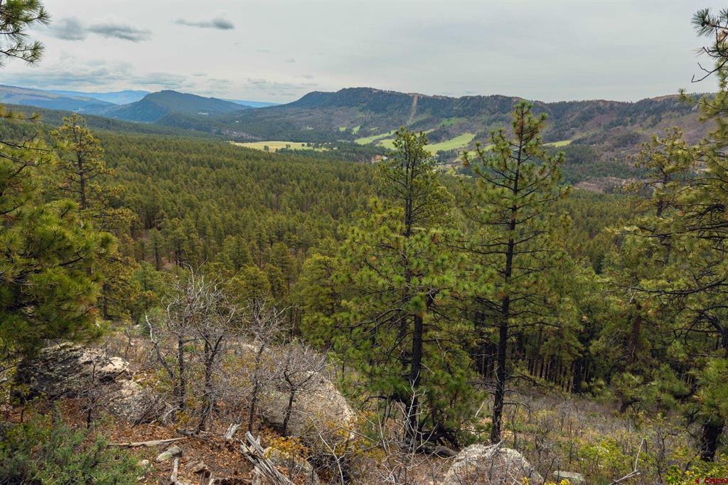 Tbd Cr 240 Durango CO 81301