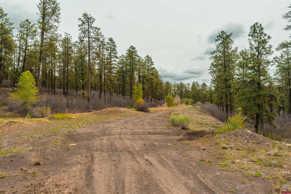 Tbd Cr 240 Durango CO 81301