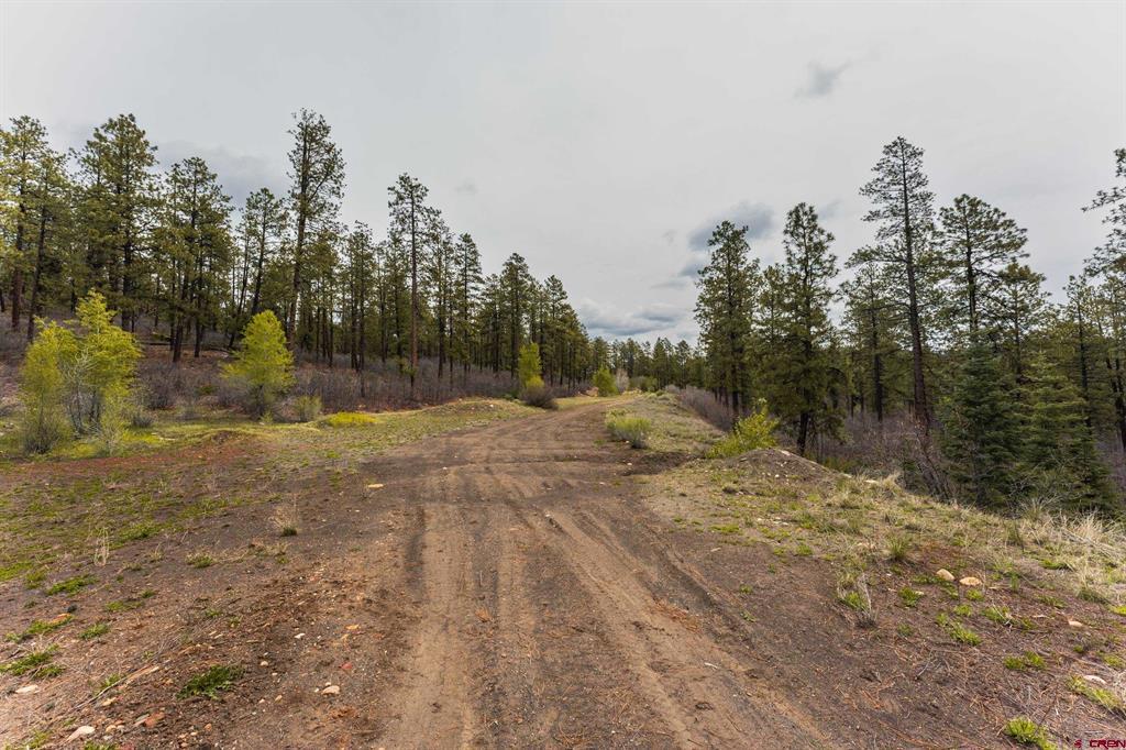 Tbd Cr 240 Durango CO 81301