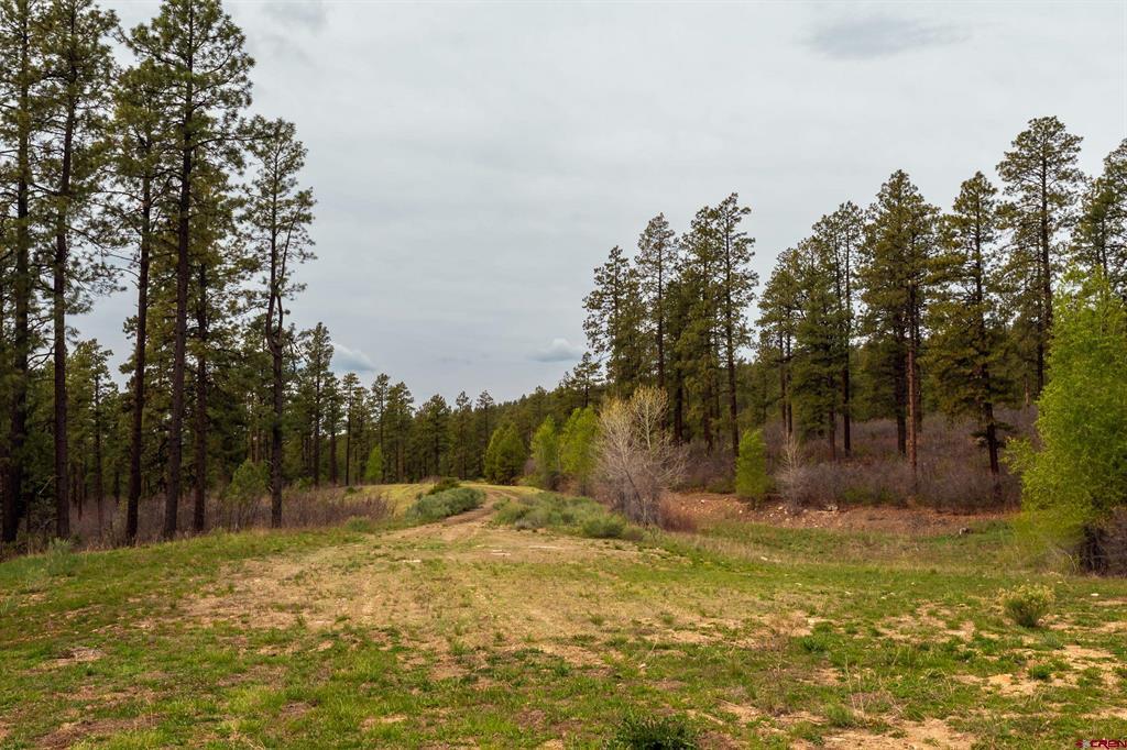 Tbd Cr 240 Durango CO 81301