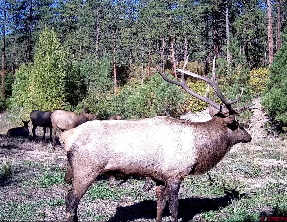 Tbd Cr 240 Durango CO 81301