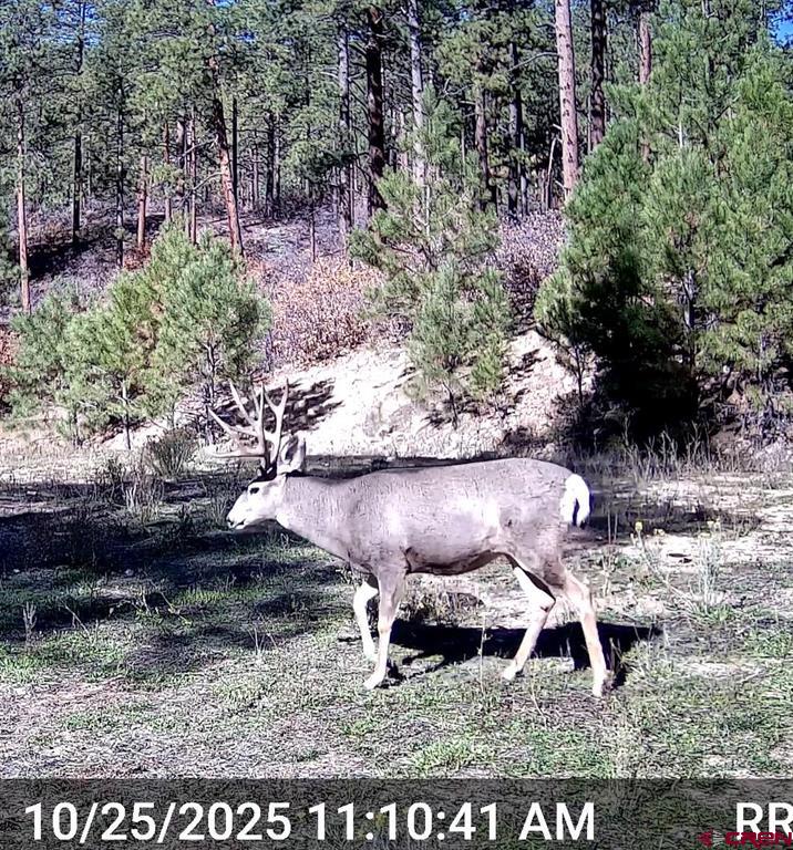 Tbd Cr 240 Durango CO 81301