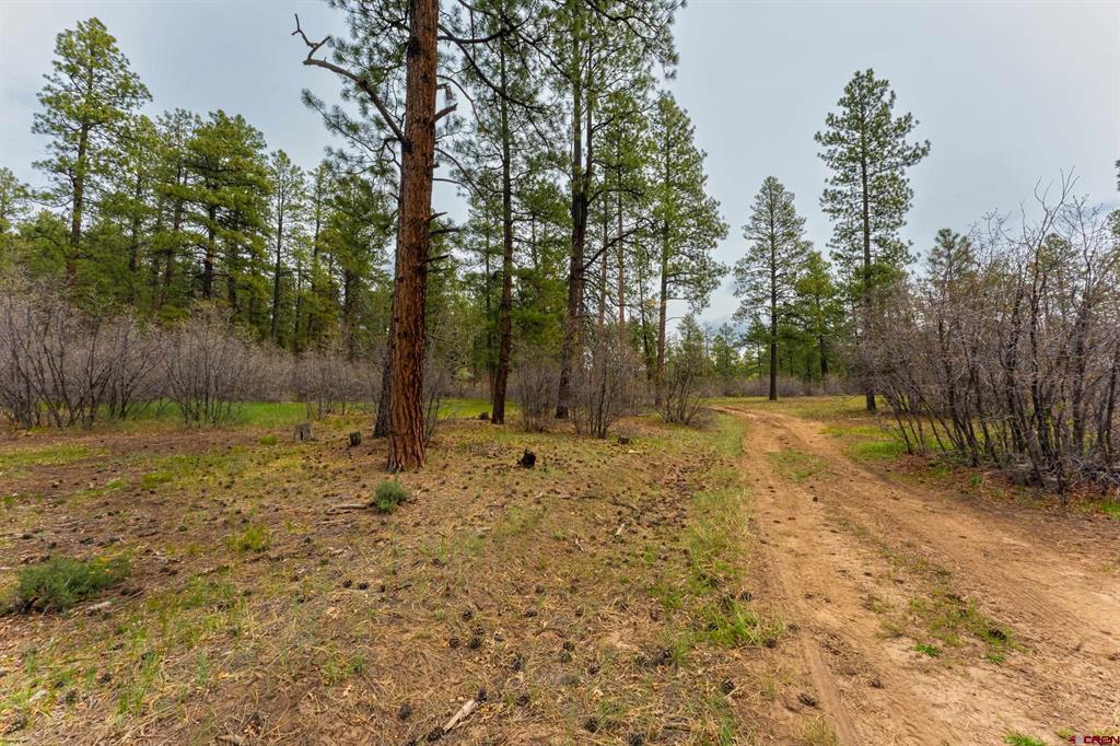 Tbd Cr 240 Durango CO 81301