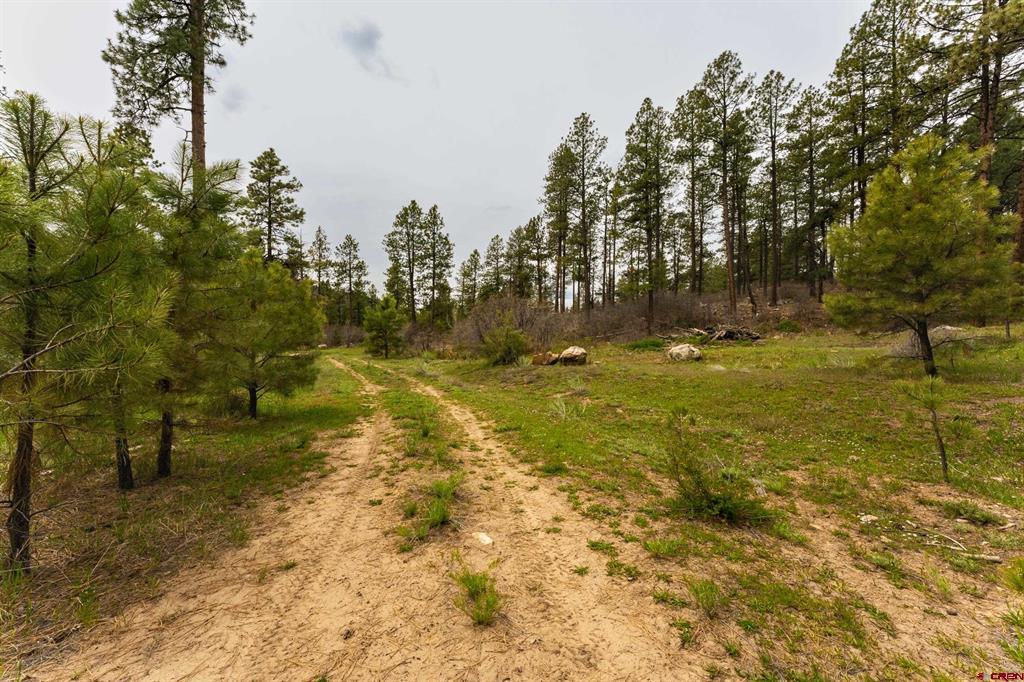Tbd Cr 240 Durango CO 81301