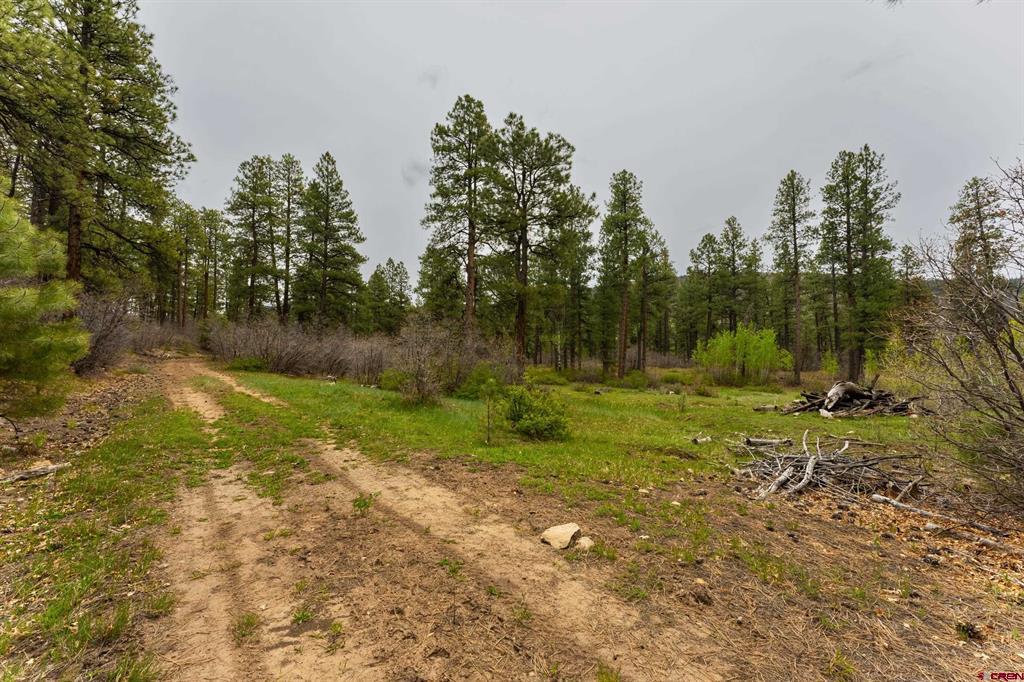 Tbd Cr 240 Durango CO 81301