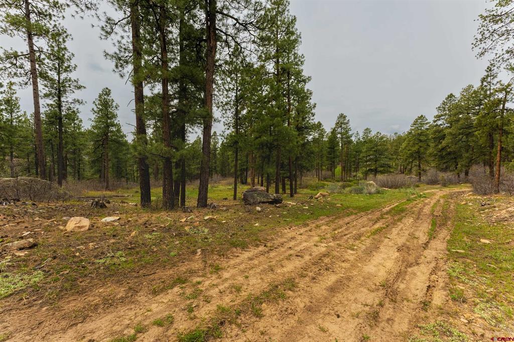 Tbd Cr 240 Durango CO 81301