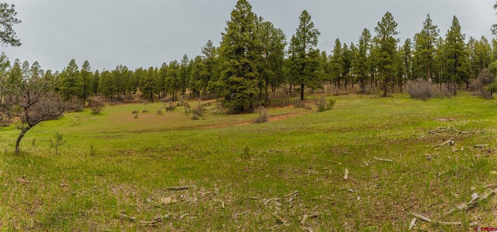 Tbd Cr 240 Durango CO 81301