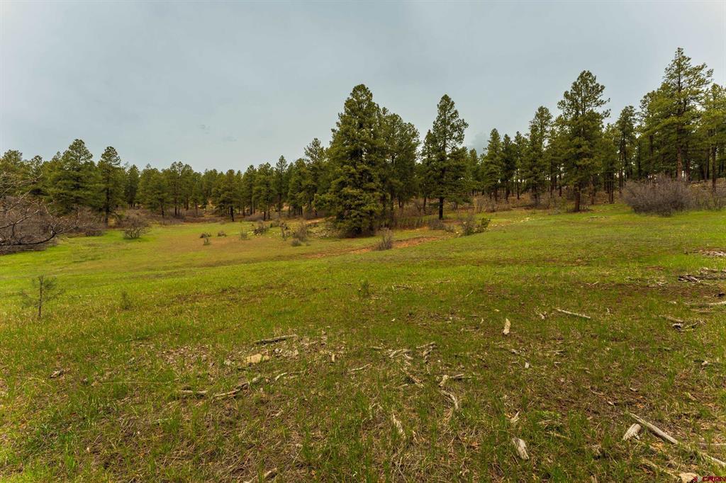 Tbd Cr 240 Durango CO 81301