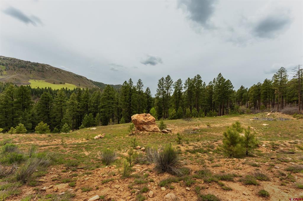 Tbd Cr 240 Durango CO 81301