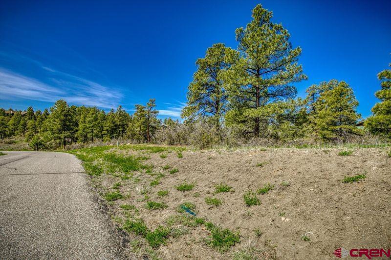 1362 Cool Pines Drive Pagosa Springs CO 81147