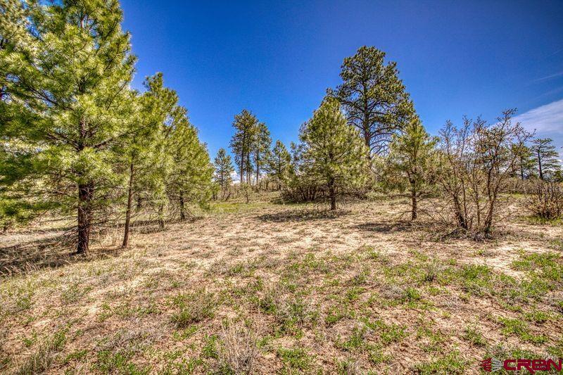 1362 Cool Pines Drive Pagosa Springs CO 81147
