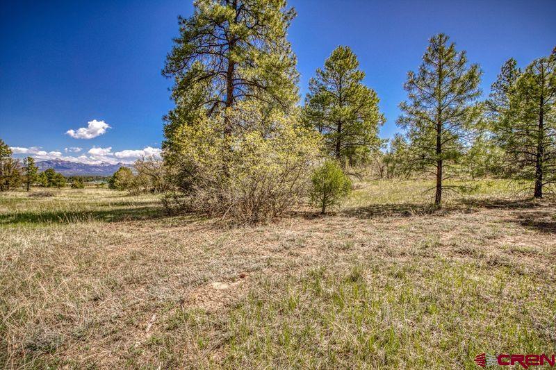 1362 Cool Pines Drive Pagosa Springs CO 81147