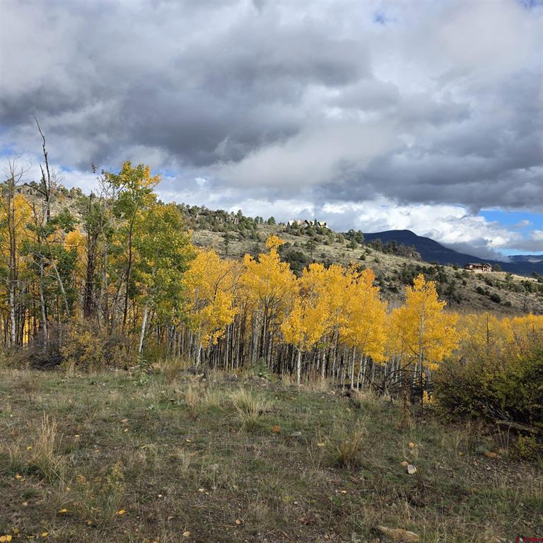 302 Rickel Circle South Fork CO 81154