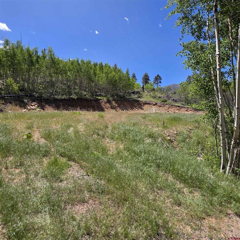 302 Rickel Circle South Fork CO 81154