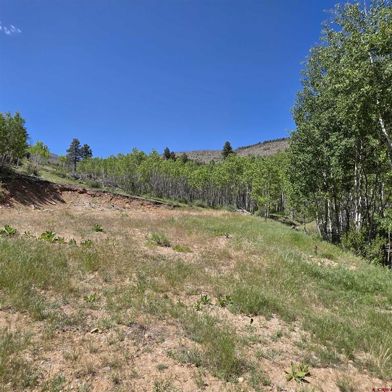 302 Rickel Circle South Fork CO 81154