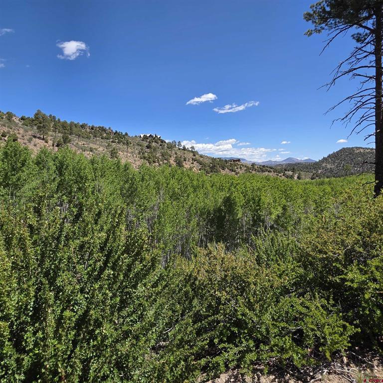 302 Rickel Circle South Fork CO 81154