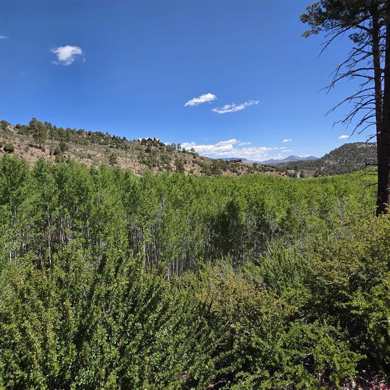 302 Rickel Circle South Fork CO 81154
