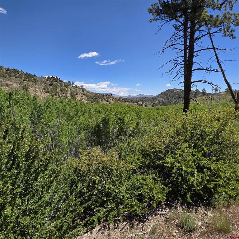 302 Rickel Circle South Fork CO 81154