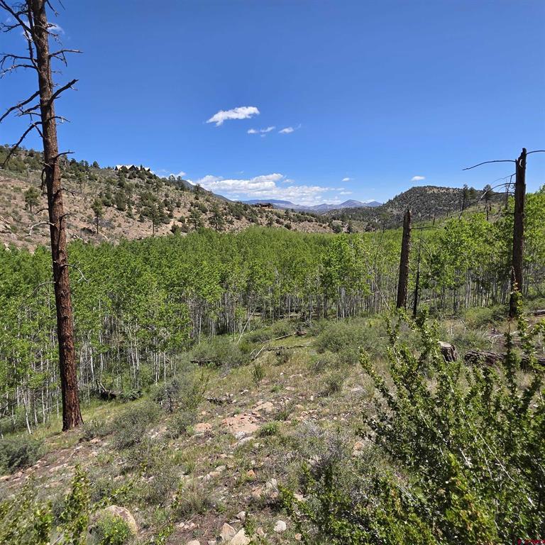 302 Rickel Circle South Fork CO 81154