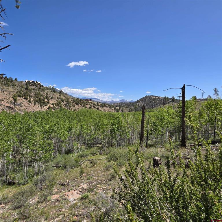 302 Rickel Circle South Fork CO 81154