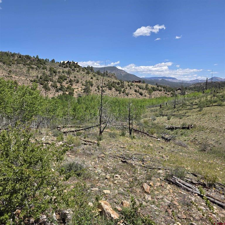 302 Rickel Circle South Fork CO 81154