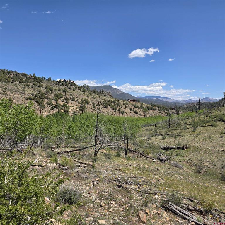 302 Rickel Circle South Fork CO 81154