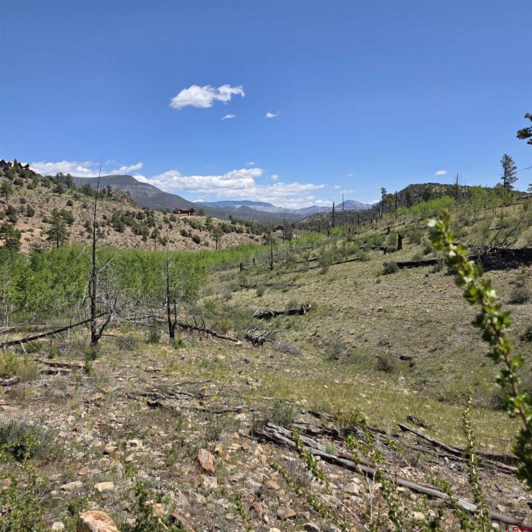302 Rickel Circle South Fork CO 81154