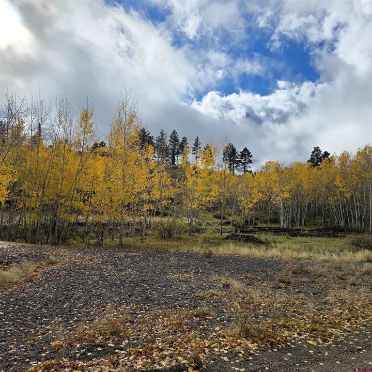 302 Rickel Circle South Fork CO 81154