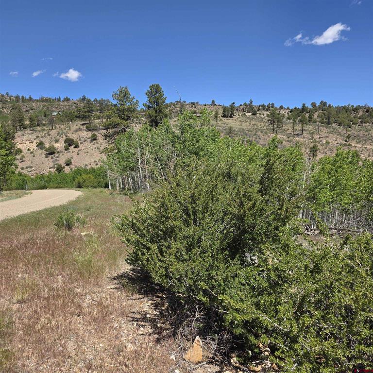 302 Rickel Circle South Fork CO 81154