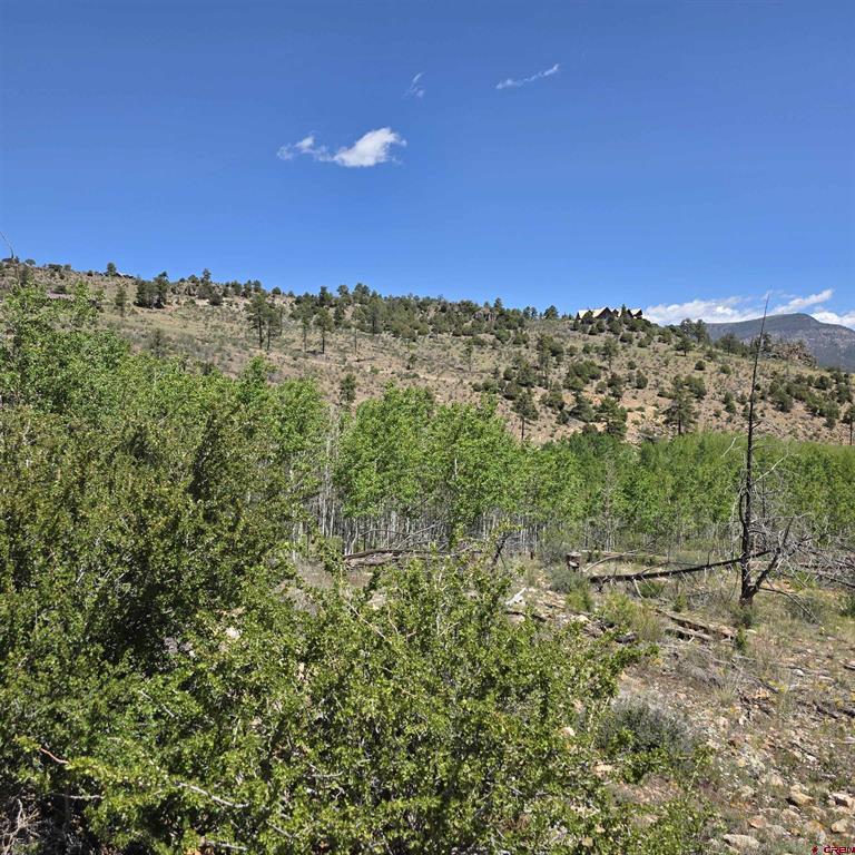 302 Rickel Circle South Fork CO 81154