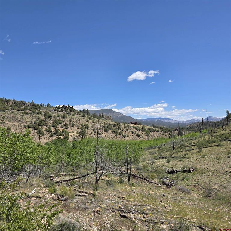 302 Rickel Circle South Fork CO 81154