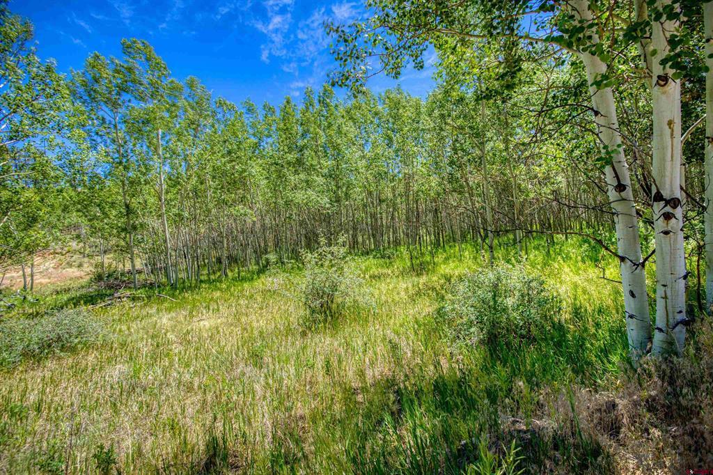 302 Rickel Circle South Fork CO 81154