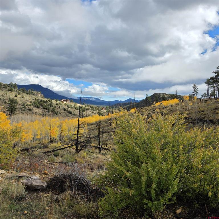 302 Rickel Circle South Fork CO 81154
