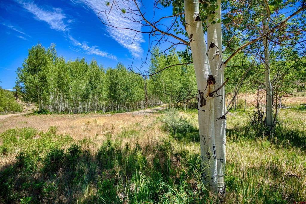 302 Rickel Circle South Fork CO 81154