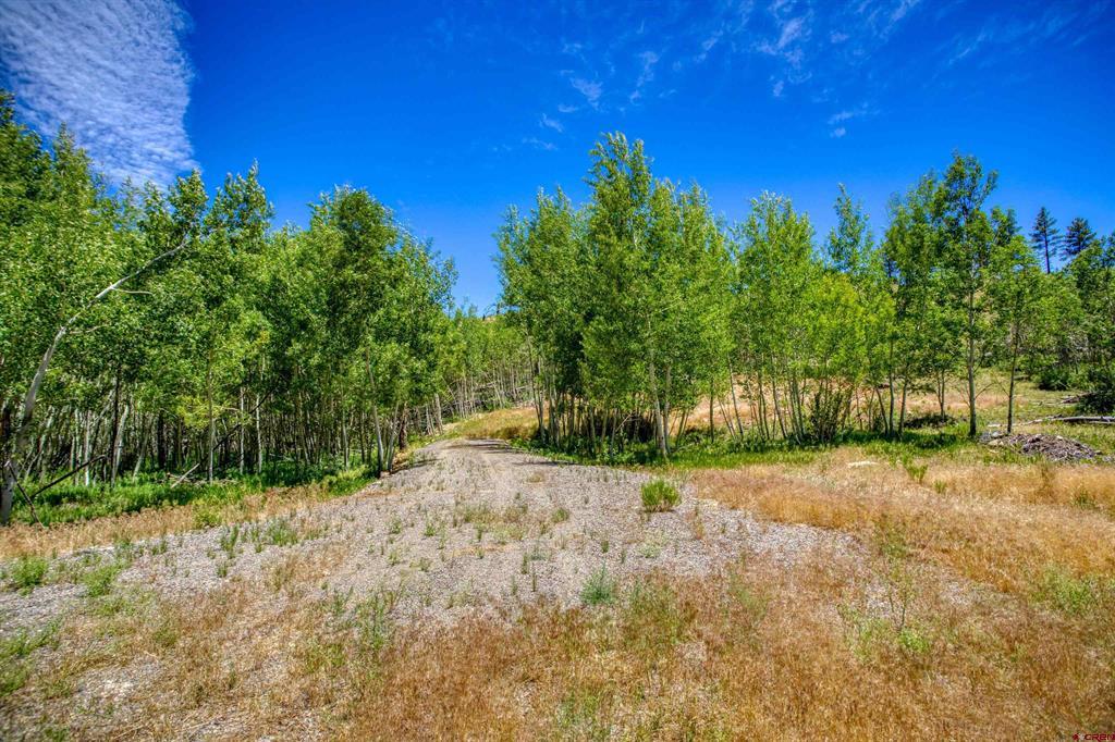 302 Rickel Circle South Fork CO 81154