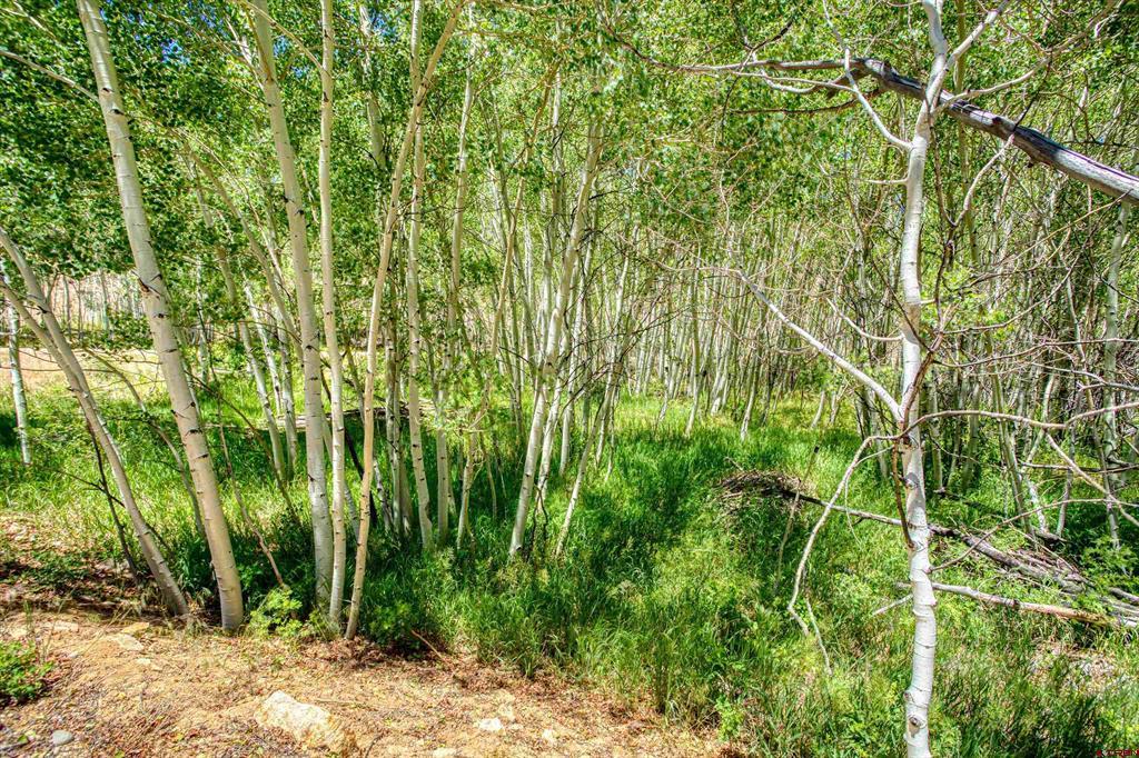 302 Rickel Circle South Fork CO 81154