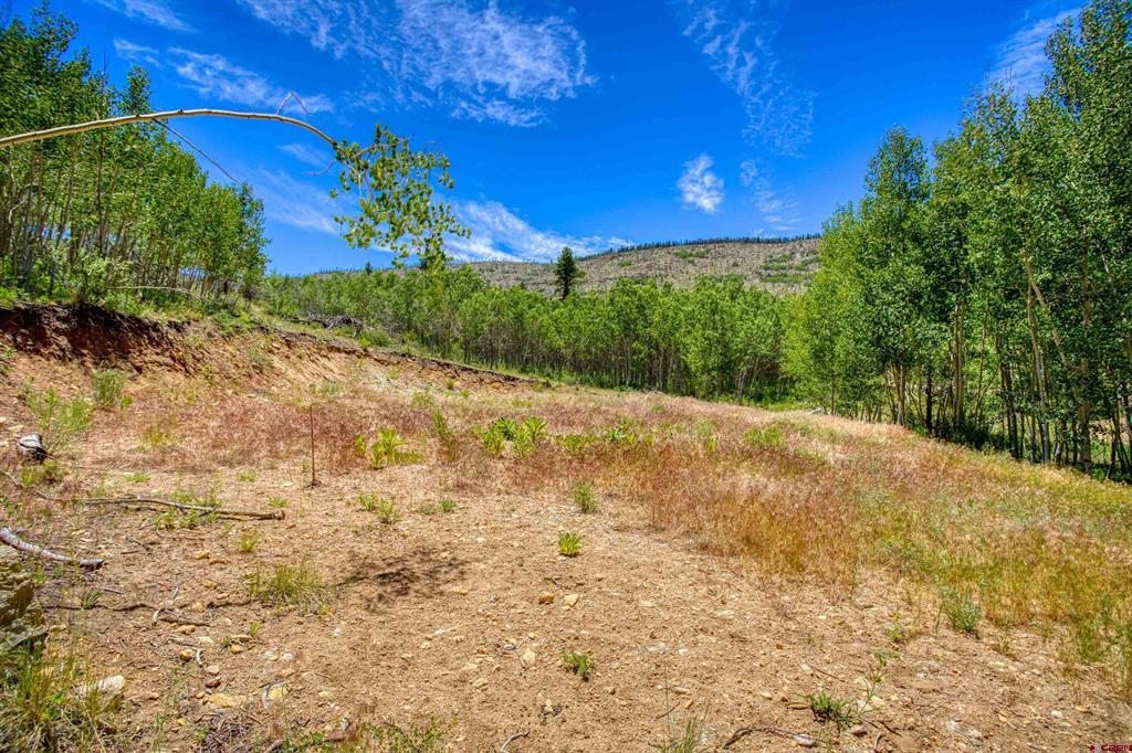 302 Rickel Circle South Fork CO 81154