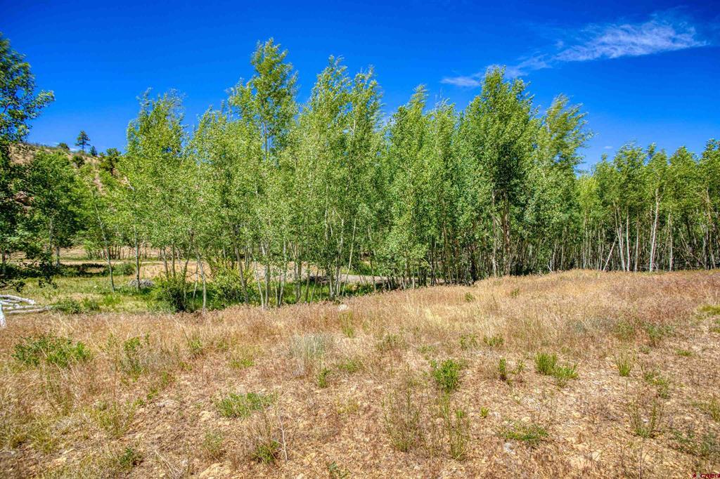 302 Rickel Circle South Fork CO 81154