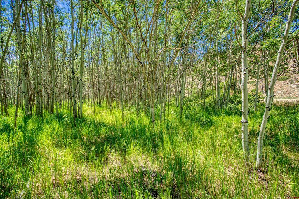 302 Rickel Circle South Fork CO 81154