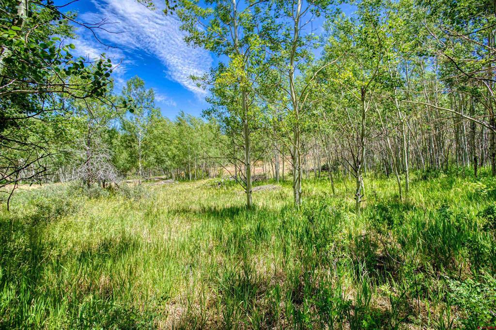 302 Rickel Circle South Fork CO 81154