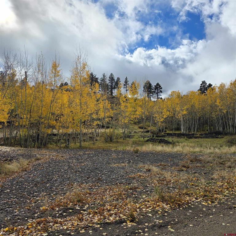 302 Rickel Circle South Fork CO 81154